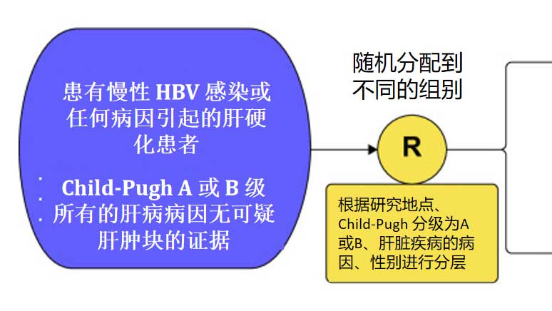 黄金城gcgcH6·(官方)中国